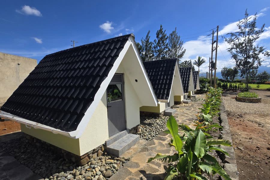 A-frame studios along a stone path with banana plants